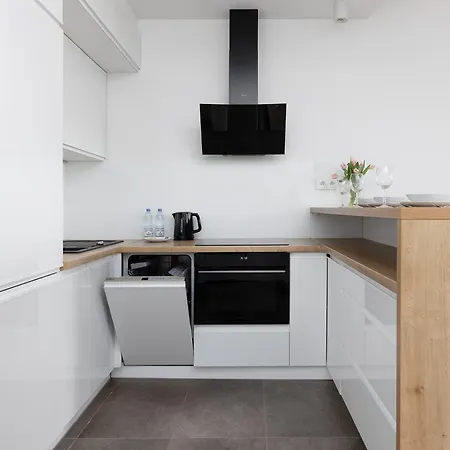 Raginisa Chic Apartment Szczecin Exterior photo